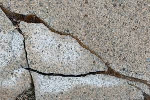 close up of cracked sidewalk