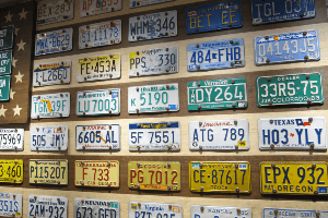 license plates from different states displayed on a wall
